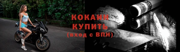 сатива Богданович