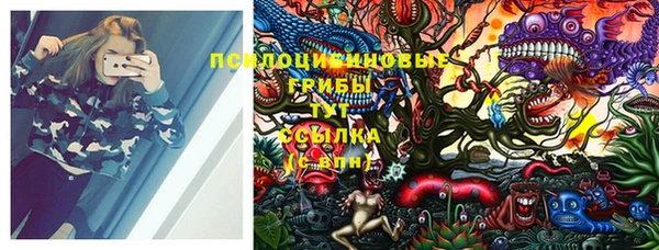 сатива Богданович