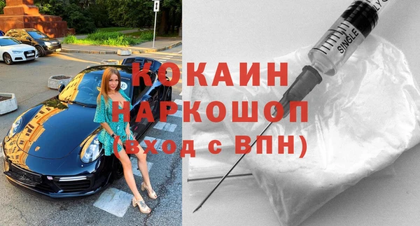 сатива Богданович