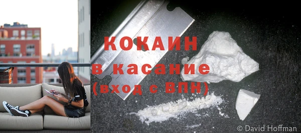 сатива Богданович