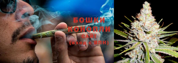 ГАЛЛЮЦИНОГЕННЫЕ ГРИБЫ Богородск