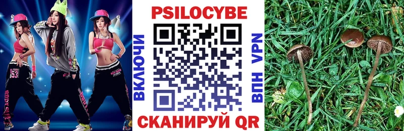 что такое   Бородино  Псилоцибиновые грибы Psilocybine cubensis 